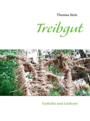 cover image of Treibgut